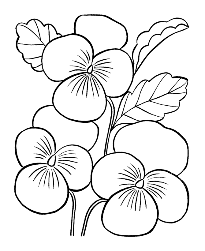 desene de colorat planse flori